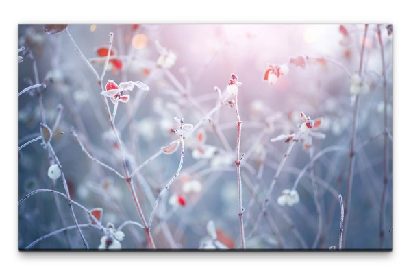 Bilder XXL Winterblumen Wandbild auf Leinwand