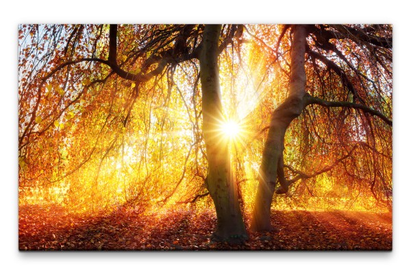 Bilder XXL goldener Herbst Wandbild auf Leinwand