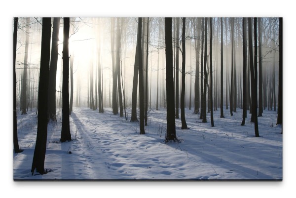 Bilder XXL Winterwald Wandbild auf Leinwand