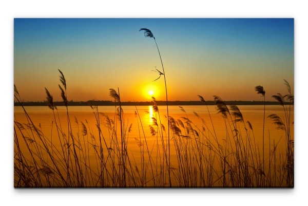 Bilder XXL Grashalme am Wasser Wandbild auf Leinwand