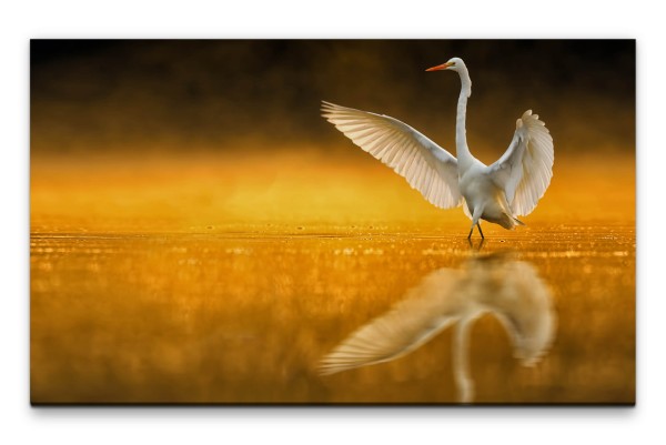 Bilder XXL Schwan im Wasser Wandbild auf Leinwand