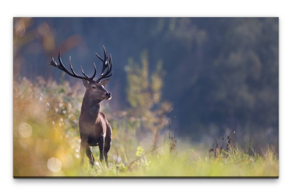 Bilder XXL Hirsch Wandbild auf Leinwand