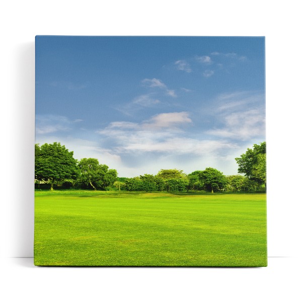 Grüne Wiese Bäume Natur Landschaft Sommer