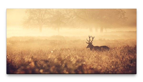 Bilder XXL Feld mit Hirsch 50x100cm Wandbild auf Leinwand