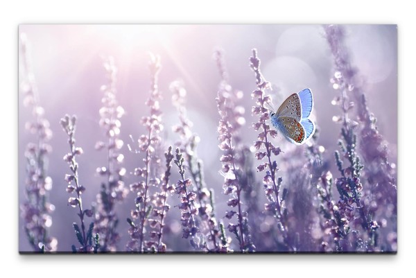 Bilder XXL Lavendel mit Schmetterling Wandbild auf Leinwand