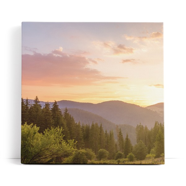 Berge Landschaft Tannenwald Wald Bäume Natur