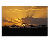 120x80cm Wandbild Afrika Akazien Bäume Sonnenuntergang