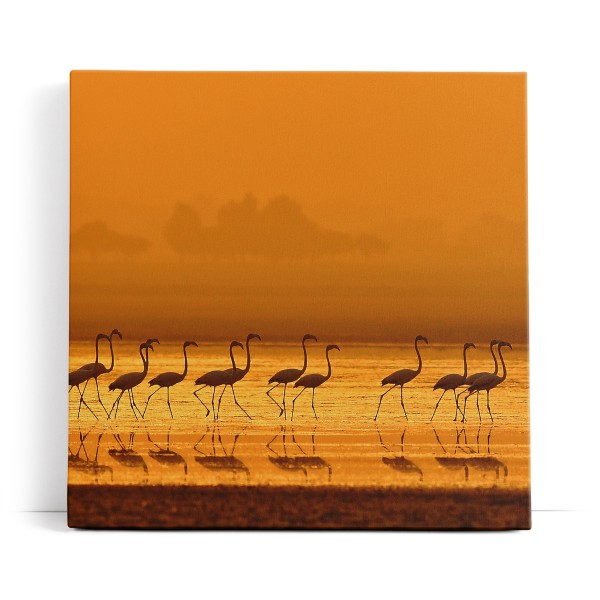 Flamingos Sonnenuntergang Abendröte Rot Kunstvoll