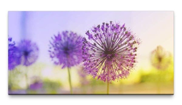 Bilder XXL blühende Zwiebelblüten 50x100cm Wandbild auf Leinwand