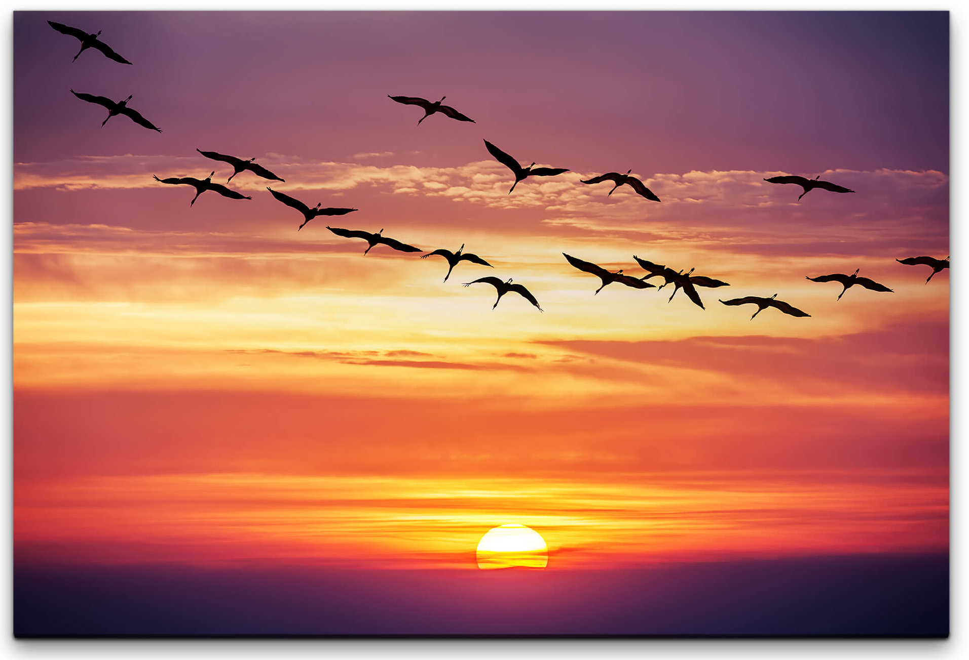 Vögel im Sonnenuntergang Wandbild in Direkt | verschiedenen Größen Möbel