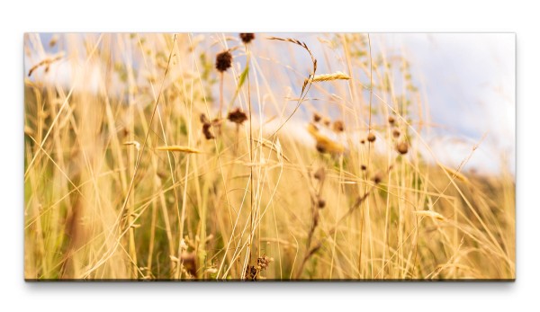 Bilder XXL Grasshalme 50x100cm Wandbild auf Leinwand