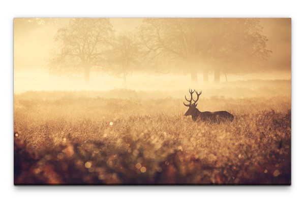 Bilder XXL Feld mit Hirsch Wandbild auf Leinwand