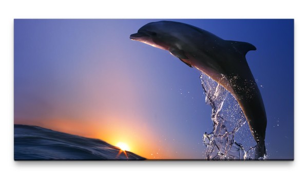 Bilder XXL Springender Delfin 50x100cm Wandbild auf Leinwand