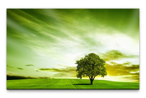 Bilder XXL Baum auf grüner Wiese Wandbild auf Leinwand