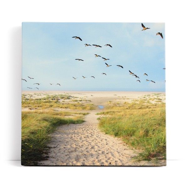 Ostsee Strand Sand Meer Entenflug Horizont