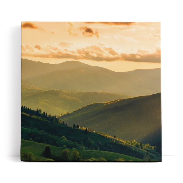 Berglandschaft Berge Gebirge Tannen Natur