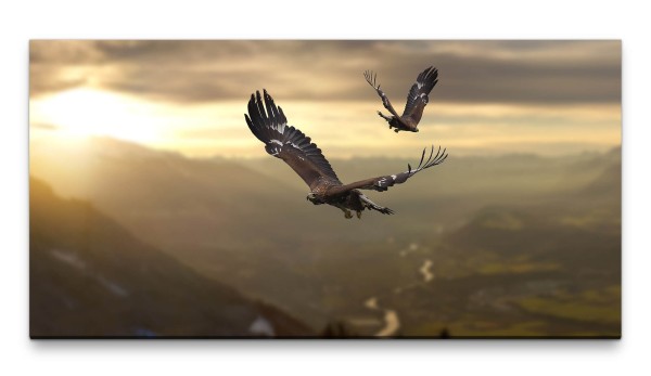 Bilder XXL Adler im Gebirge 50x100cm Wandbild auf Leinwand