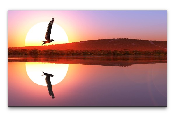 Bilder XXL Adler am See Wandbild auf Leinwand