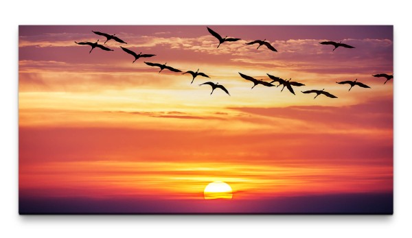 Bilder XXL Vogelschwarm im Sonnenuntergang 50x100cm Wandbild auf Leinwand