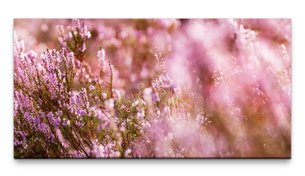 Bilder XXL Blütenpracht 50x100cm Wandbild auf Leinwand