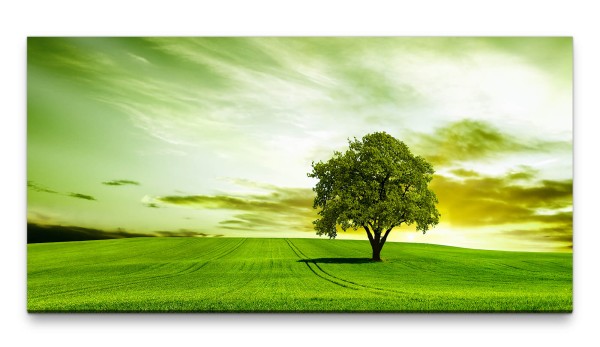 Bilder XXL Baum auf grüner Wiese 50x100cm Wandbild auf Leinwand