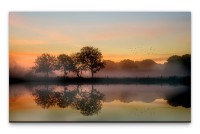 Bilder XXL Bäume im Herbst Wandbild auf Leinwand