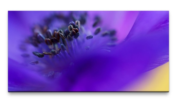 Bilder XXL Makro von Blauer Blume 50x100cm Wandbild auf Leinwand