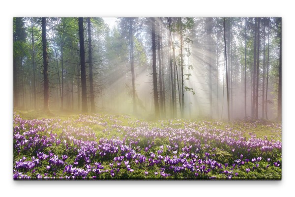 Bilder XXL Wald im Frühling Wandbild auf Leinwand