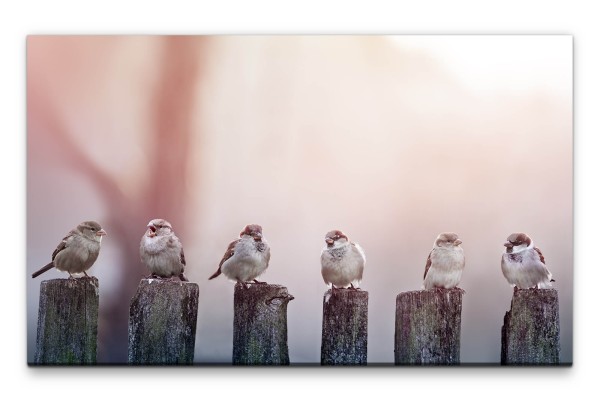 Bilder XXL Vögel auf Holzstämmen Wandbild auf Leinwand