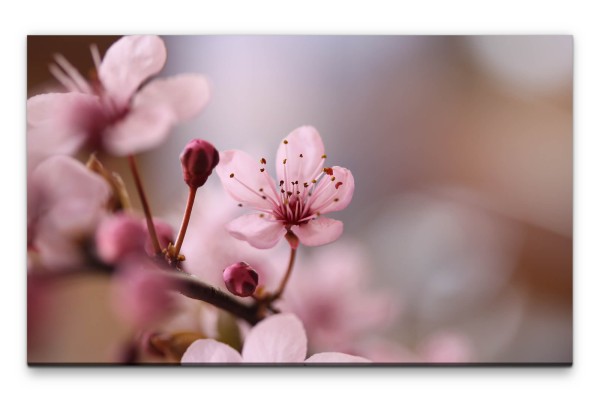 Bilder XXL rosa Kirschblüte Wandbild auf Leinwand